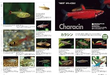 月刊アクアライフ 2023年01月号 2023年アクアリウム超図鑑800 ○特別