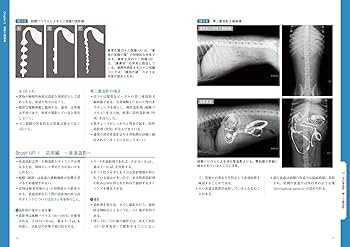 イチからはじめる犬と猫のX線検査 | 堀 あい, 中出哲也 |本 | 通販