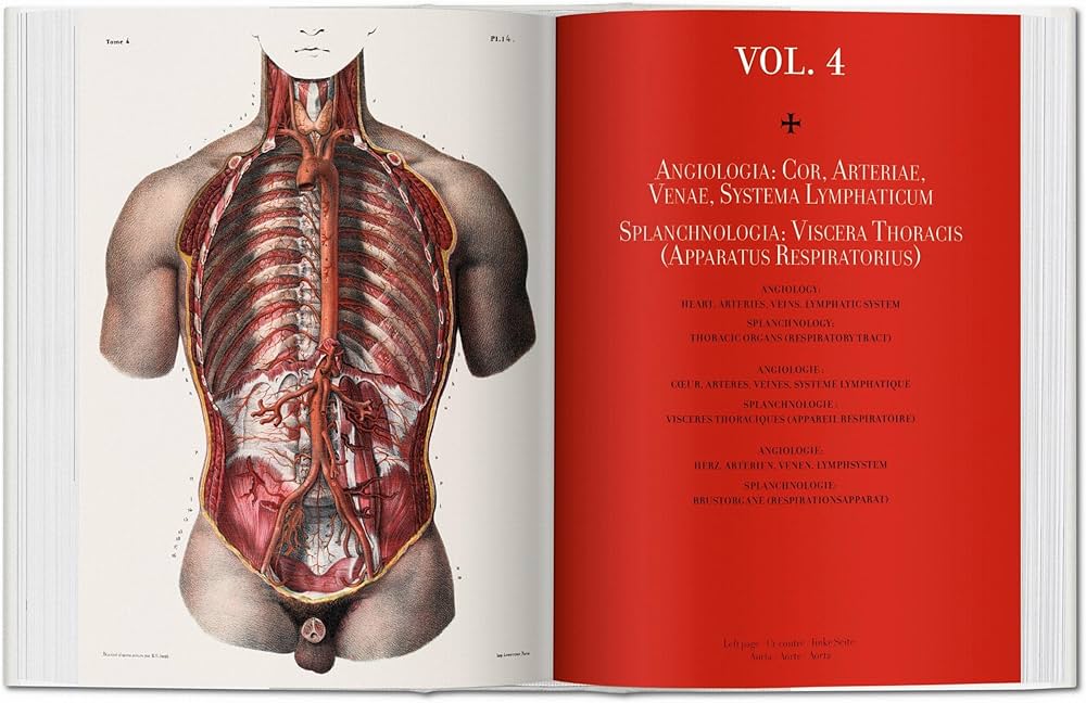 Amazon | Bourgery. Atlas of Human Anatomy and Surgery (Bibliotheca