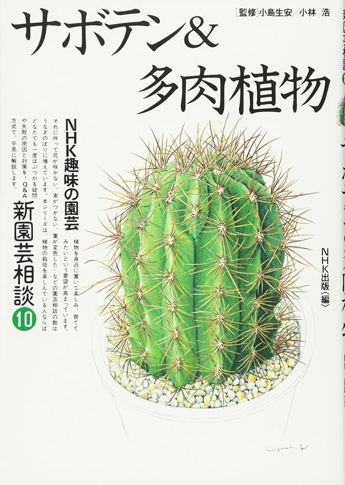 サボテン&多肉植物 (NHK趣味の園芸 新園芸相談 10) | 日本放送出版協会