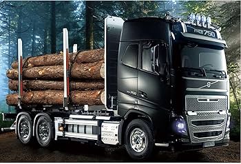 Amazon.co.jp: タミヤ 1/14 電動RCビッグトラックシリーズ No.60