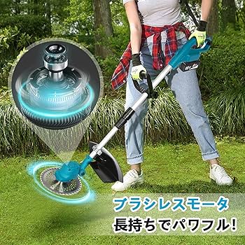 81Q466UMEtL._AC_UF350,