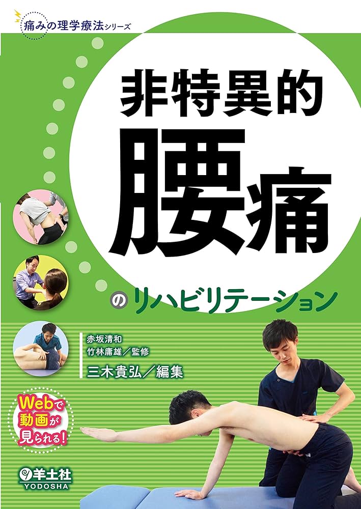 非特異的腰痛のリハビリテーション (痛みの理学療法シリーズ) | 三木