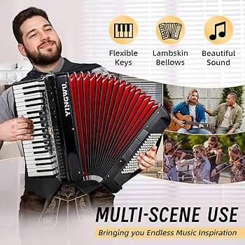 Amazon.com: Accordion 37 Keys 96 Bass, Professional Piano-Style