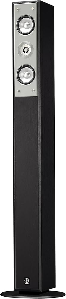 Amazon.com: YAMAHA NS-F210BL 2-Way Bass-Reflex Floorstanding