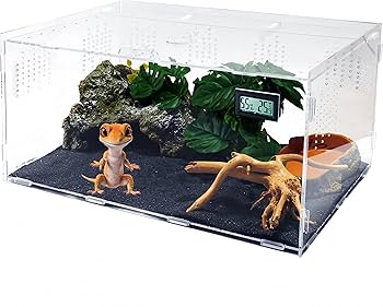 Amazon | Niesporek 爬虫類 ケージ トカゲ ケージ カナヘビ飼育ケース