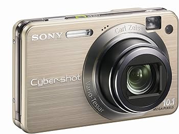 Amazon.com : Sony Cybershot DSCW170/G 10.1MP Digital Camera with