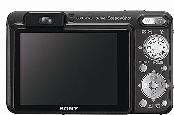 Amazon.com : Sony Cybershot DSCW170/B 10.1MP Digital Camera with