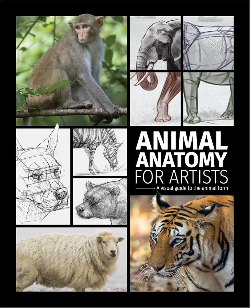 Animal Anatomy for Artists: A Visual Guide to the Animal Form