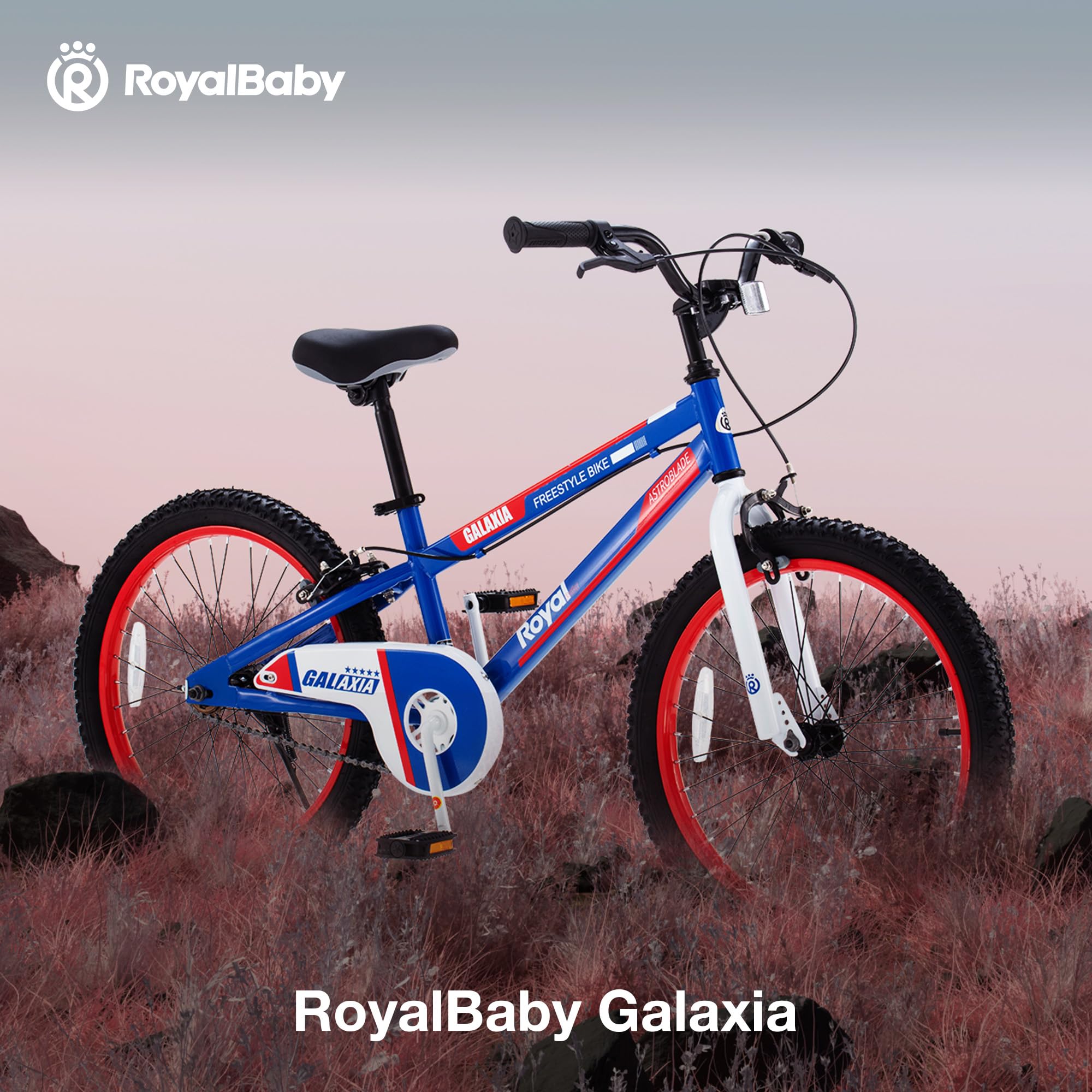 Amazon.com : RoyalBaby Galaxia Kids Bike Toddlers 20 Inch Wheel