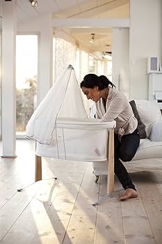 Amazon.co.jp: ベビービョルン【日本正規品保証付】クレードル 041121