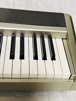 Amazon | CASIO 電子ピアノ Privia PX-120DK | 電子ピアノ | 楽器