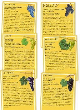 81T9EHLTOpL._AC_UF350,