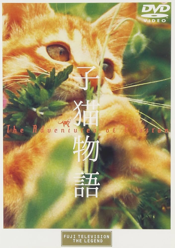 Amazon.co.jp: 子猫物語 [DVD] : 畑正憲, 畑正憲, 畑正憲: DVD