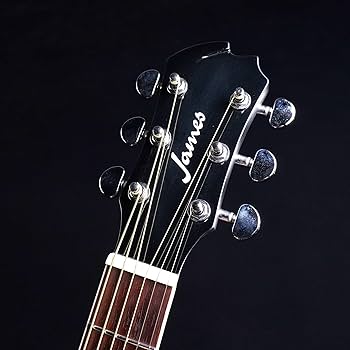 Amazon | James J-450D/Ova Black アコースティックギター エレアコ
