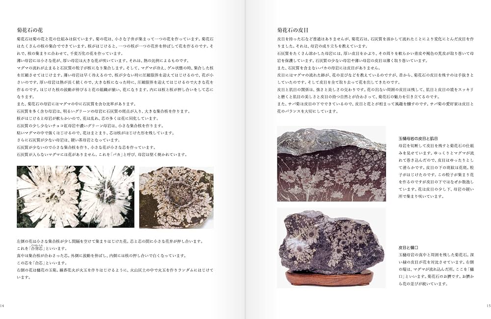 NEO菊花石 | 石原 宣夫 |本 | 通販 | Amazon