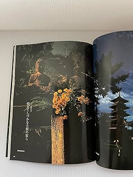 山頭火と四国遍路 (コロナ・ブックス 109) | 横山 良一 |本 | 通販