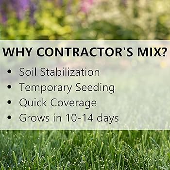 81UBxgcBm8L._AC_UF350,