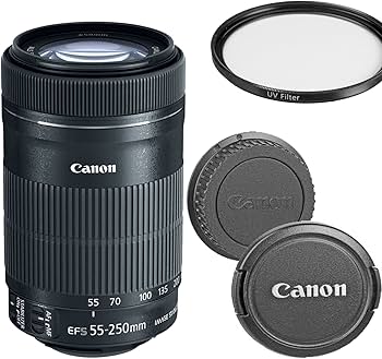 Amazon.com : Canon EF-S 55-250mm f/4-5.6 IS STM Telephoto Zoom