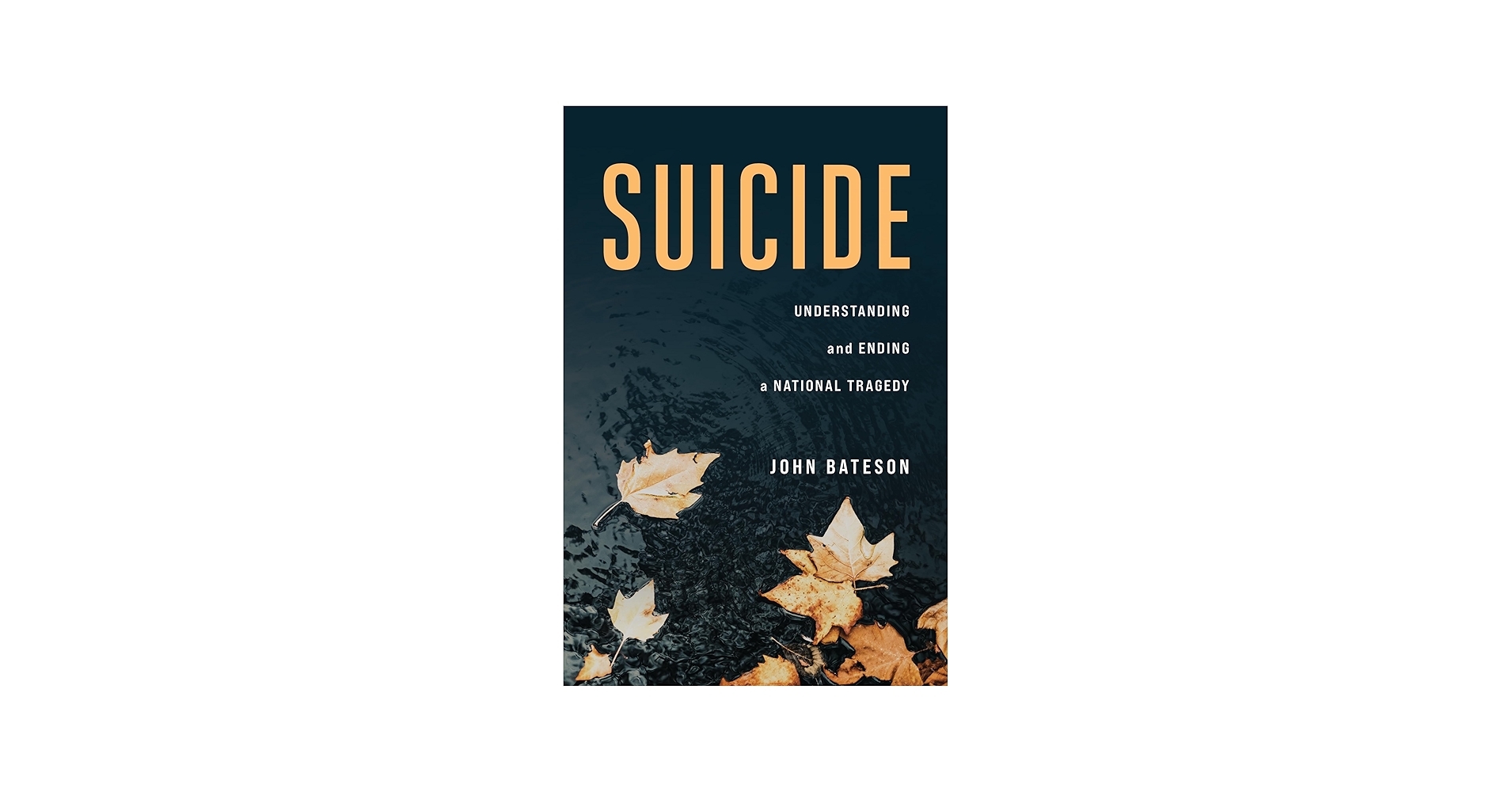 Suicide: Understanding and Ending a National Tragedy