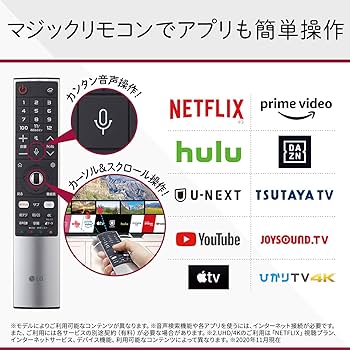Amazon | 49NANO86JNA 4K液晶テレビ 4Kチューナー内蔵 49V型 | テレビ 通販