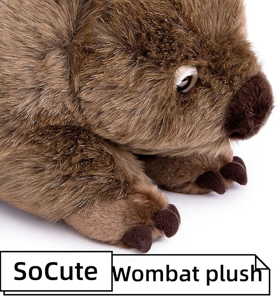 81Uo9ZM1ObL._AC_UF894,