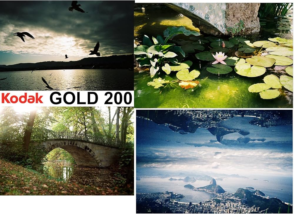 Amazon | Kodak カラーネガティブフィルム Gold200 36枚 (6033997