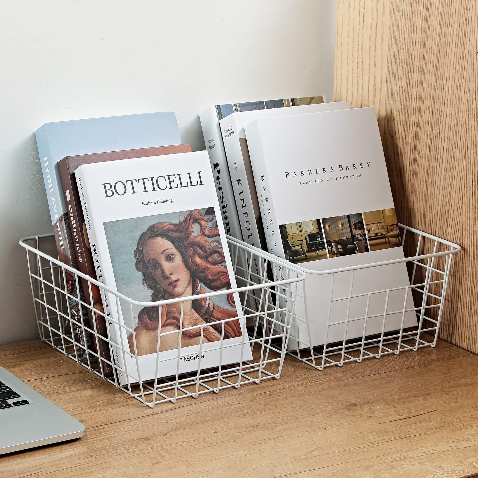 Amazon｜11インチ 直立型 冷凍庫収納バスケット ホワイトワイヤー収納