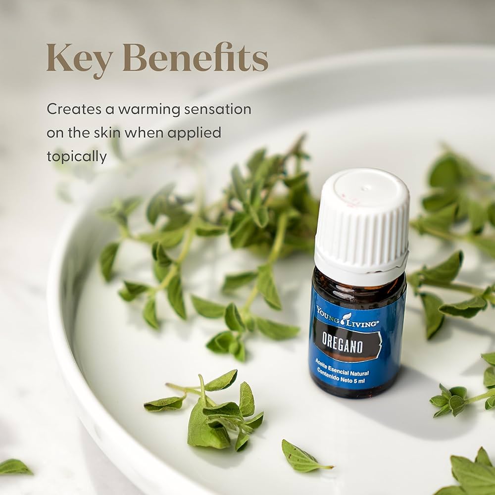 Amazon.com: Young Living Oregano Essential Oil 5 ml – 100% Pure