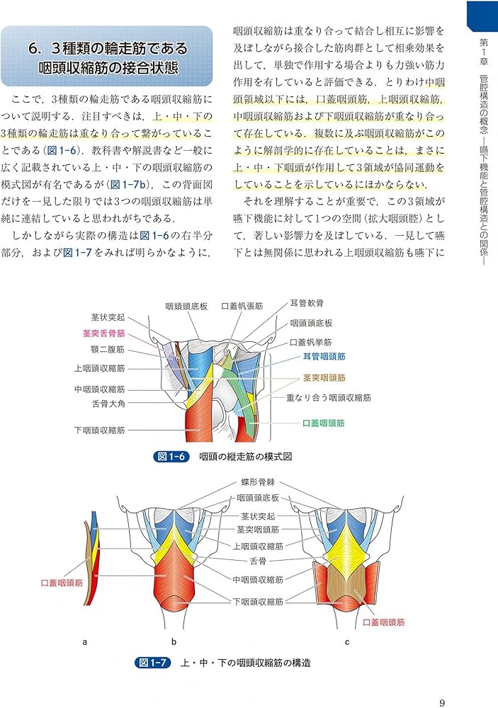 頭頸部外科診療に役立つ 頭頸部管腔構造の理解 | 西嶌 渡 |本 | 通販