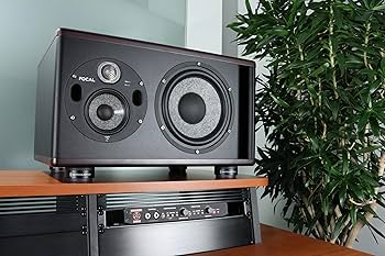 Amazon.com: IsoAcoustics Iso-Puck Series Acoustic Isolators (Iso