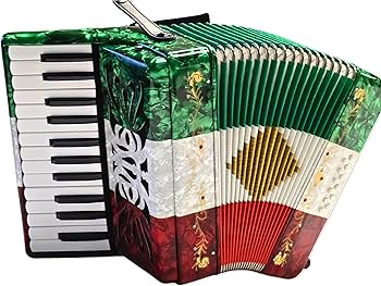 Amazon.com: Rossetti Accordion (ROS2512-MX) : Musical Instruments