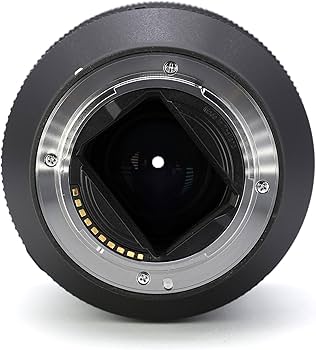 Amazon.co.jp: SONY(ソニー) 望遠単焦点レンズ フルサイズ FE 100mm F2