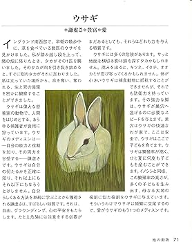 アニマルスピリットガイド (GAIA BOOKS) | クリス・ルティチャウ, 豊田