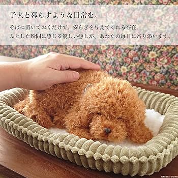 Amazon.co.jp: ニニアンドキノ パーフェクトペット (小サイズ) トイ