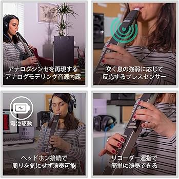 Amazon.co.jp: Akai Professional 電子管楽器 100プログラムの音色が1