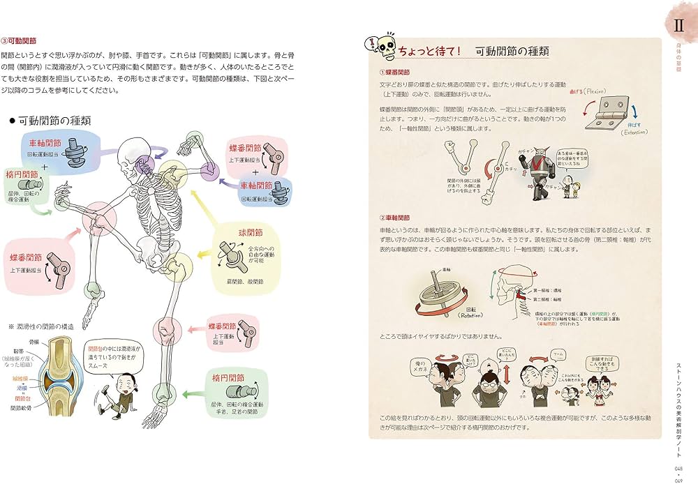 Amazon.com: ソッカの美術解剖学ノート: 9784274507151: ソク