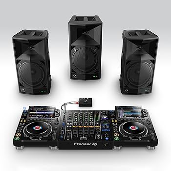 Amazon.com: AlphaTheta Wave-Eight 8-Inch Bluetooth DJ Speaker with