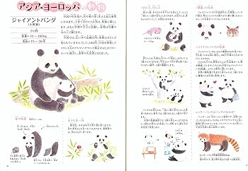 81YxSJ2BMpS._AC_UF350,