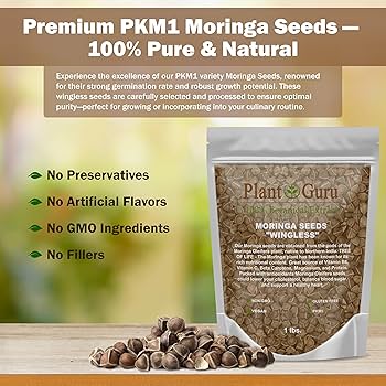 Amazon.com: Moringa Seeds Wingless 1 lb. Wide Mouth JAR - PKM1