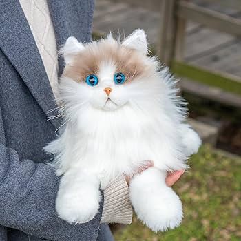 81AOQFqpefL._AC_UF350,