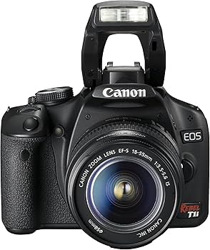 Amazon.com : Canon EOS Rebel T1i 15.1 MP CMOS Digital SLR Camera