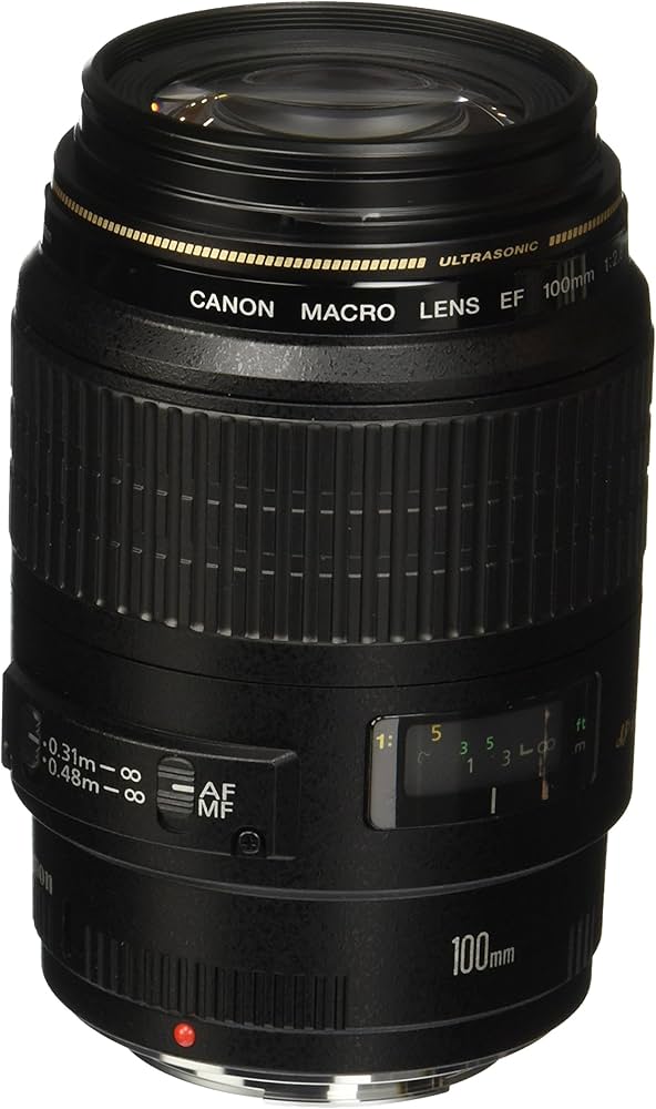 Amazon.com : Canon 100mm F2.8 Macro USM AF Lens : Camera Lenses
