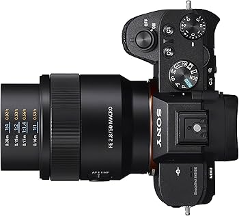 Amazon.com : Sony SEL50M28 FE 50mm F2.8 Full-frame E-mount Macro