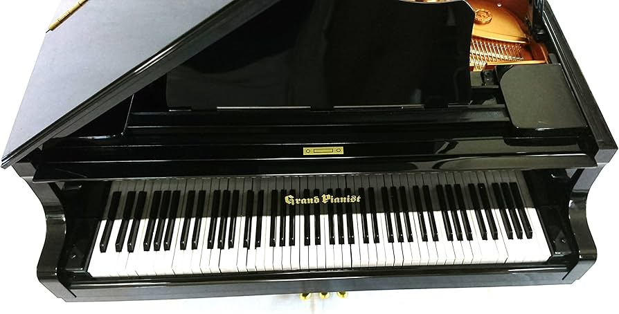 Amazon | グランドピアニスト | おもちゃ雑貨 | おもちゃ