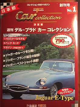 81BtgwZb+kL._AC_UF350,