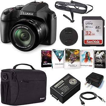 Amazon.com : Panasonic LUMIX FZ80D 18.1MP Point & Shoot Digital