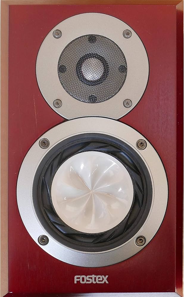 Amazon.co.jp: Fostex GX100 : 家電＆カメラ