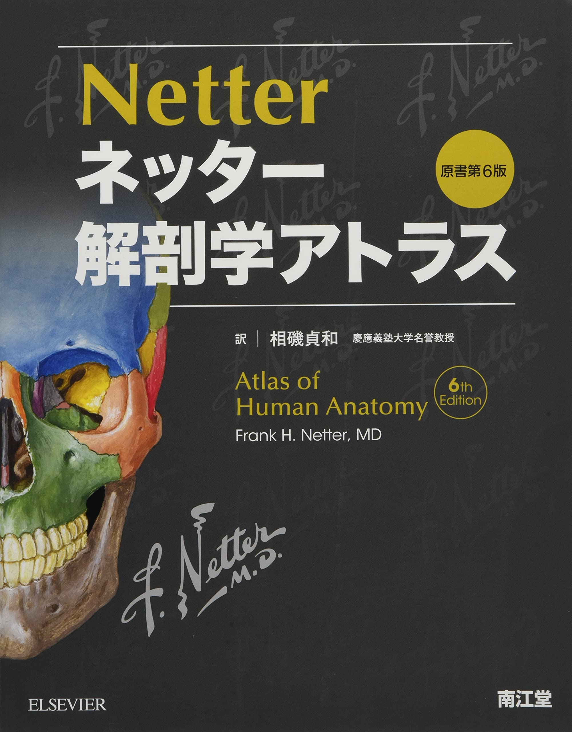 ネッター解剖学アトラス原書第6版 | F.H.Netter, 相磯貞和 |本 | 通販