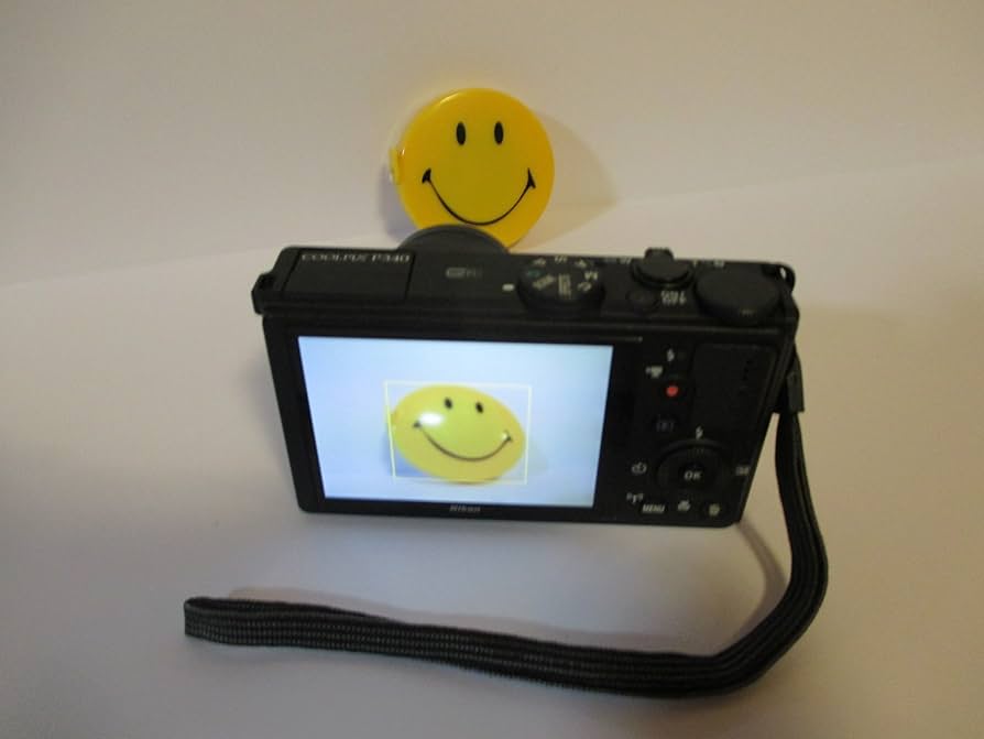 Amazon.com : Nikon P340 Digital Camera 1.8 12 Million Pixel P340